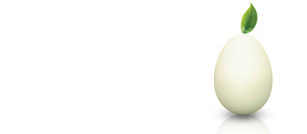 Welcome to the Official Website of <br/> AE Proteina Industries, Inc.