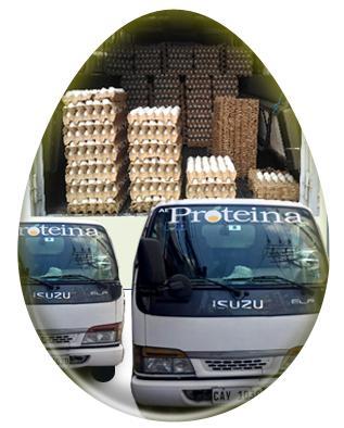 DELIVERY